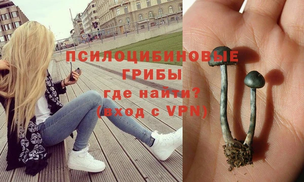 герыч Балахна